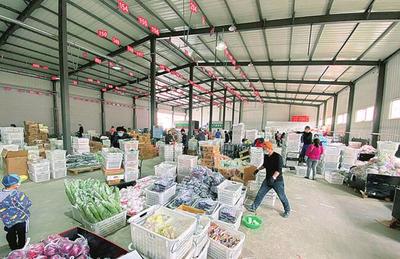 九佰街速度 四年造就區域零售龍頭，深耕農產品零售